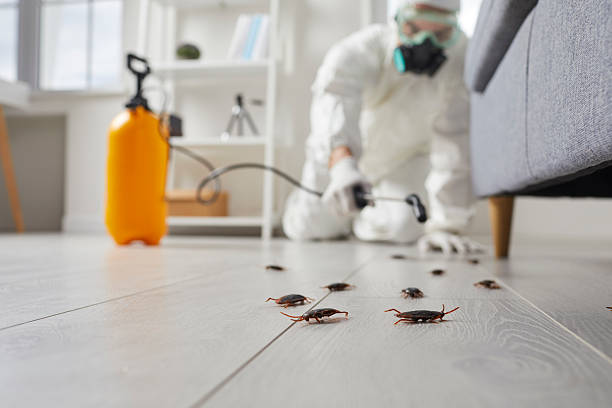 Commercial Kitchen Cockroach Control in Winthrop